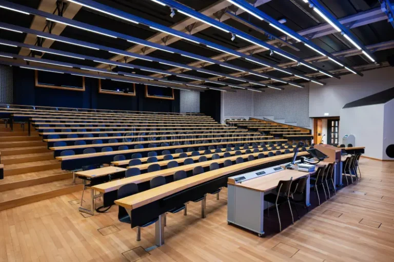 Lecturing at Universities